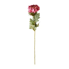 Blume Blush Chrysanthemum 113cm