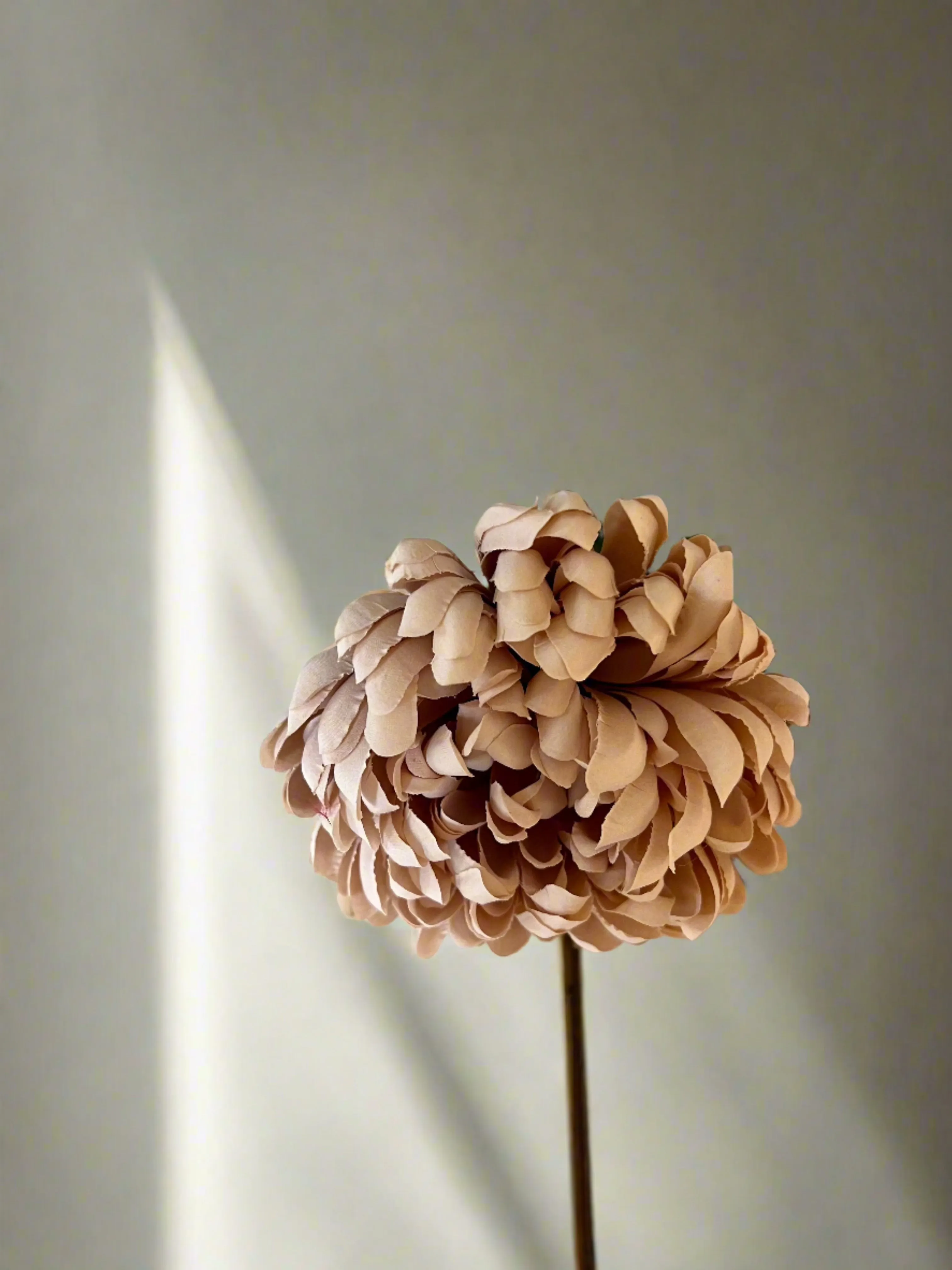 Cream Mum Stem 24.5" Long