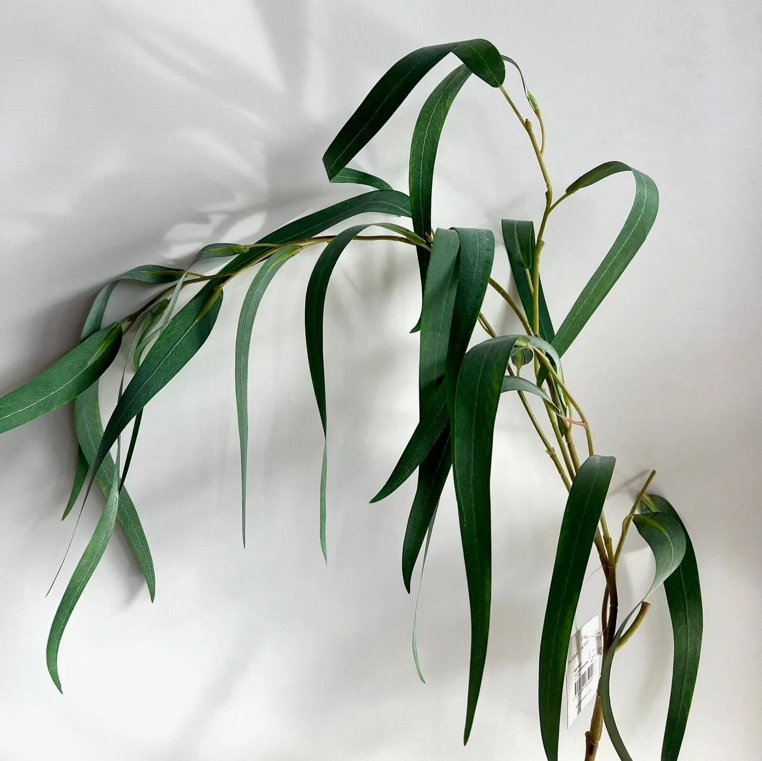 Eucalyptus Long Leaf Spray Grey Green