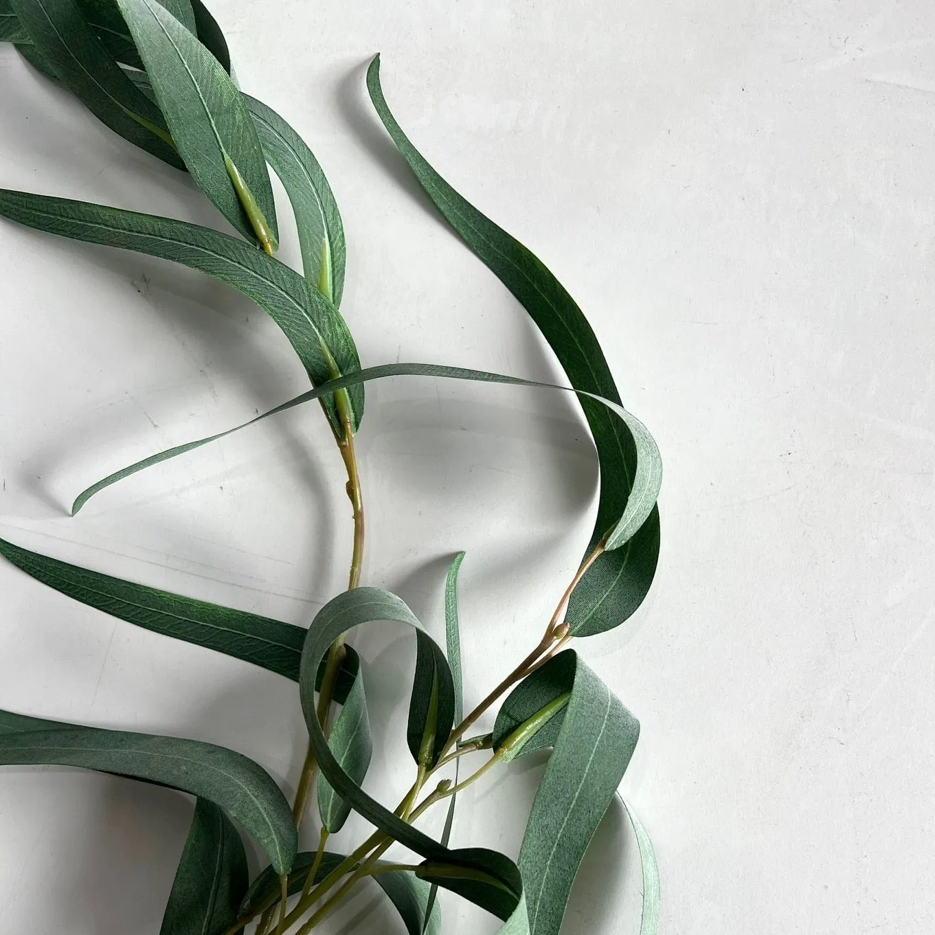 Eucalyptus Long Leaf Spray Grey Green