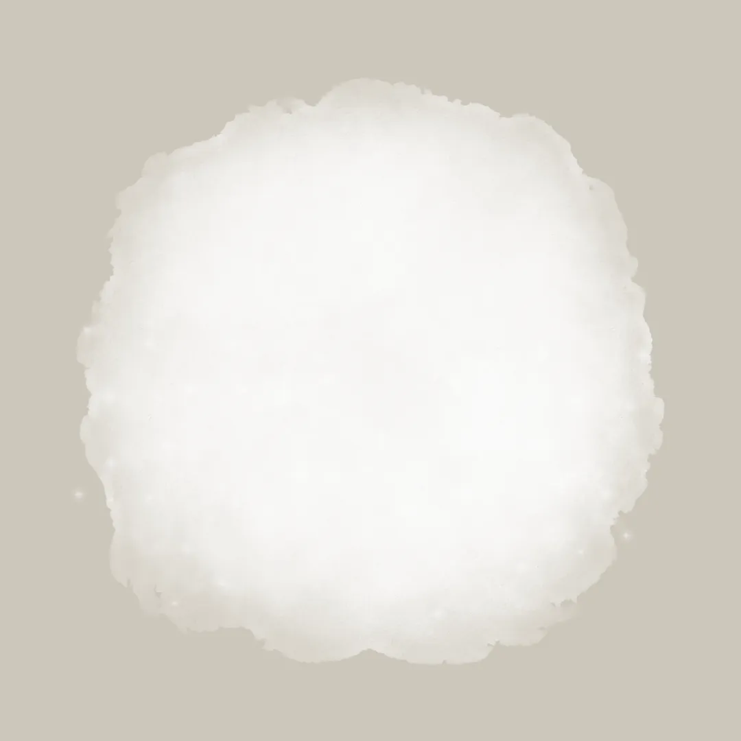 Matte Sun Stick : Mugwort Camelia (SPF 50  PA    )