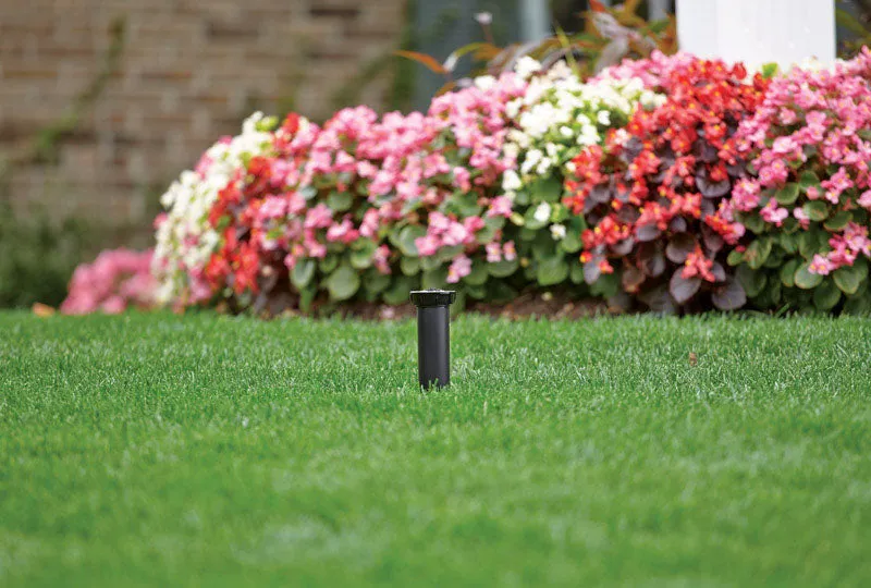 Rain Bird 1800 Series Full-Circle Drip Irrigation Micro Spray 1 gph 1 pk